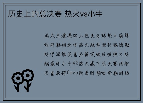 历史上的总决赛 热火vs小牛